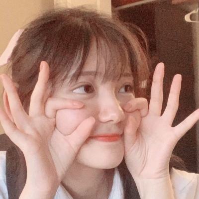 战国之王破解版下载